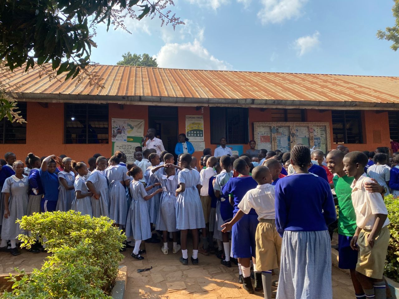 School health promotion